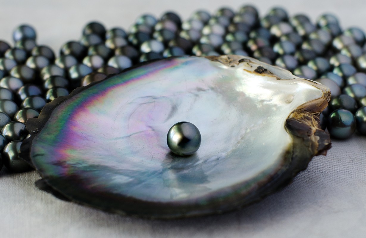 Black Pearl Creations Logo